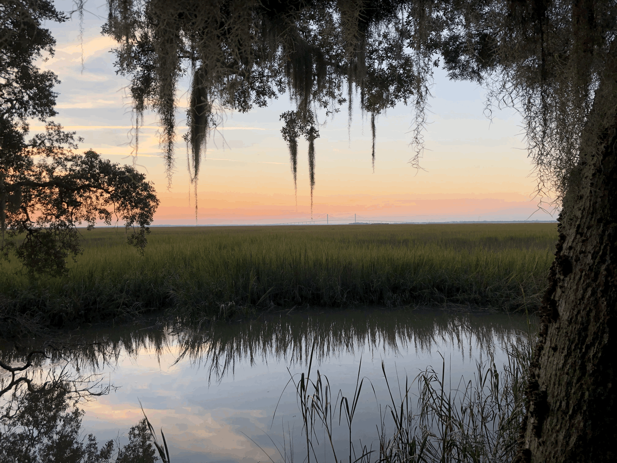 Lowcountry Camping Along the  South Carolina and Georgia Coast, part 2