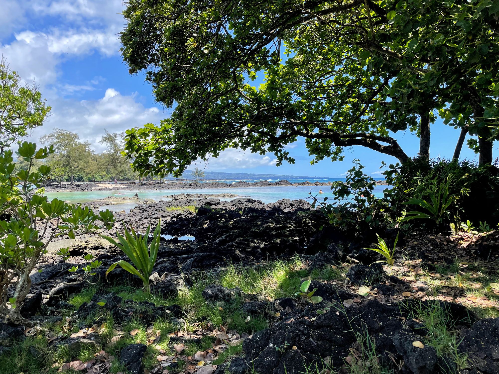 Does everyone really love Hawaii?